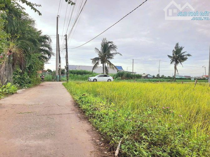 Quá đẹp, 261m2 đất thổ góc 2 mặt tiền 10x 26m chỉ 790tr - 6