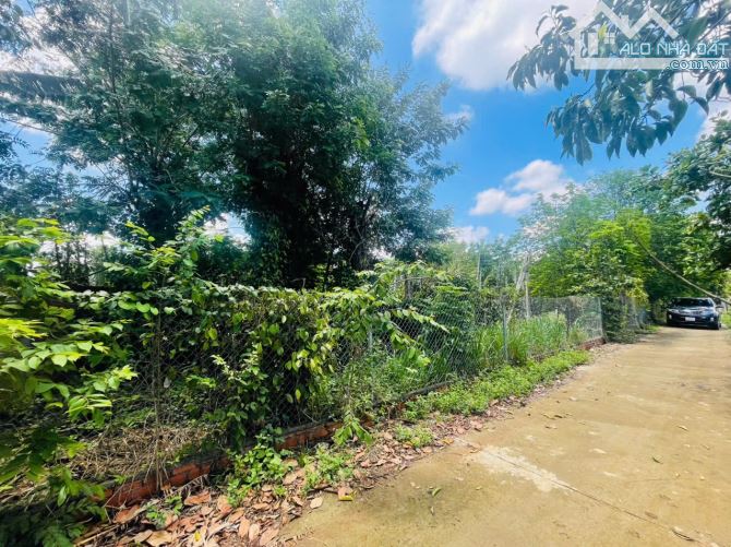🔥 GIẢM GIÁ SỐC – CHỈ CÒN 4,5 TỶ ‼️ 80m MẶT TIỀN – CÓ AO – TRỒNG CÂY ĂN TRÁI – VIEW CỰC CH - 6
