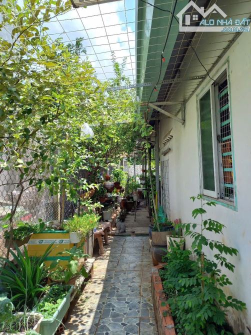 3,8Tỷ TL🔥Bán nhà cấp 4_ 135,4m2 Mặt Tiền đường Bình Nhâm 62 P.Bình Nhâm, Tp.Thuận An - 6