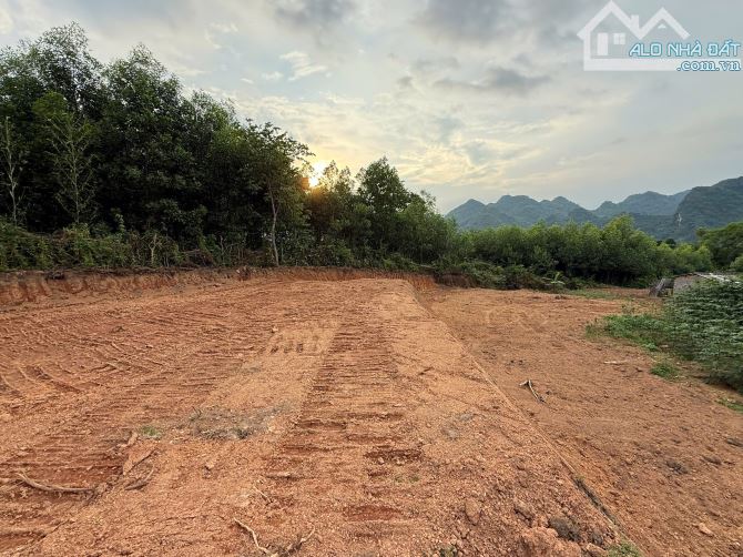 Lô đất khoảng 1300m2 có 200m2 thổ cư tại xóm Lựng-Cuối Hạ-Kim Bôi - 7