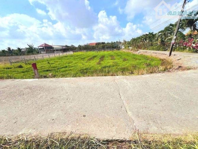 Quá đẹp, 261m2 đất thổ góc 2 mặt tiền 10x 26m chỉ 790tr - 7