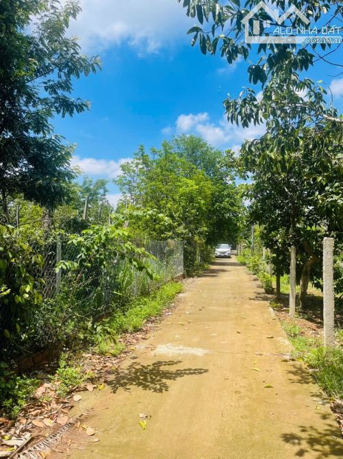 🔥 GIẢM GIÁ SỐC – CHỈ CÒN 4,5 TỶ ‼️ 80m MẶT TIỀN – CÓ AO – TRỒNG CÂY ĂN TRÁI – VIEW CỰC CH - 7