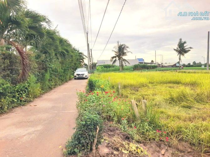 Quá đẹp, 261m2 đất thổ góc 2 mặt tiền 10x 26m chỉ 790tr - 8