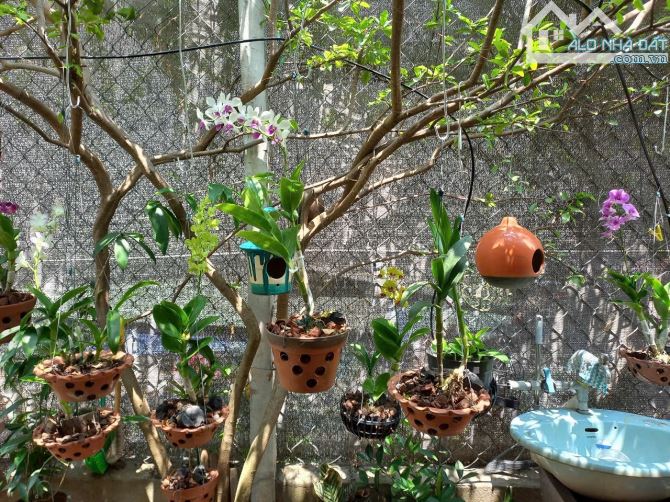 3,8Tỷ TL🔥Bán nhà cấp 4_ 135,4m2 Mặt Tiền đường Bình Nhâm 62 P.Bình Nhâm, Tp.Thuận An - 8