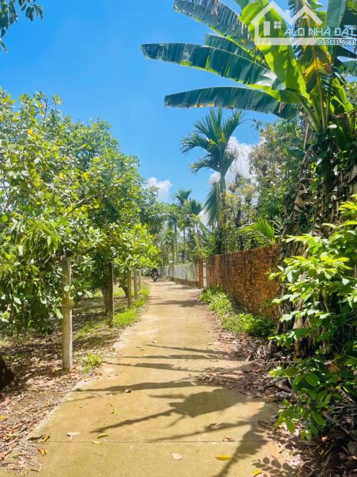 🔥 GIẢM GIÁ SỐC – CHỈ CÒN 4,5 TỶ ‼️ 80m MẶT TIỀN – CÓ AO – TRỒNG CÂY ĂN TRÁI – VIEW CỰC CH - 9