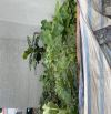 Bán Đất Tu Hoàng - Nam Từ Liêm Ô tô Kinh Doanh 42m giá 6.x tỷ