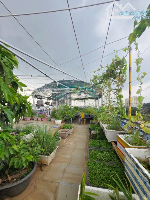 Bán nhà Lý Thường Kiệt Q10 – 95m2 (5x19.5), 5 tầng  ôtô trong nhà, thu nhập cao – 22.68 tỷ