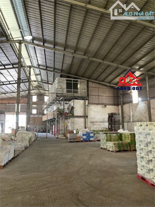 XT448 nhà xưởng cho thuê ổn định, đuòng rộng thuận lợi di chuyển hàng hóa. khung thép kiên