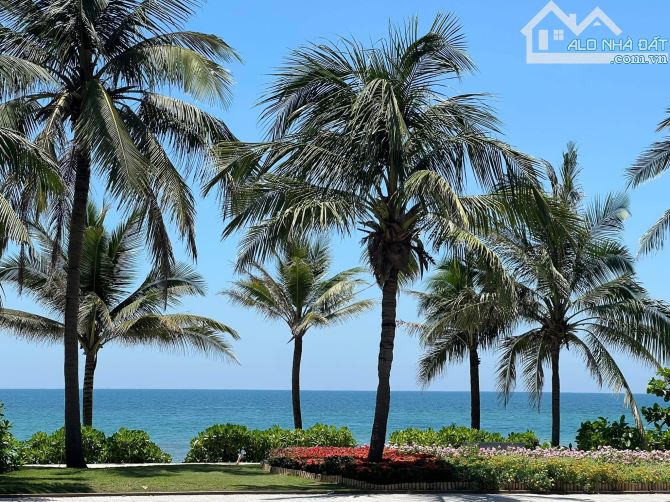LÔ GÓC SIÊU ĐẸP NGAY BÃI TẮM SƠN THUỶ, ĐƯỜNG NGUYỄN CƠ THẠCH, 225M2 CHỈ NHỈNH 1X TỶ