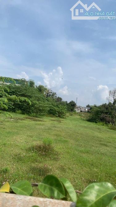 BÁN GẤP LÔ ĐẤT SIÊU RẺ 28.365 M2 - CÂY TRÔM MỸ KHÁNH - PHƯỚC HIỆP CỦ CHI - CHỈ 16 TỶ ...