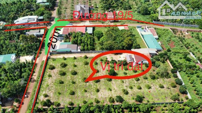 Cần Bán Nhanh Lô Đất Sào Có Thổ Cư Hẻm Cấp 1 Đường 19/5 BMT