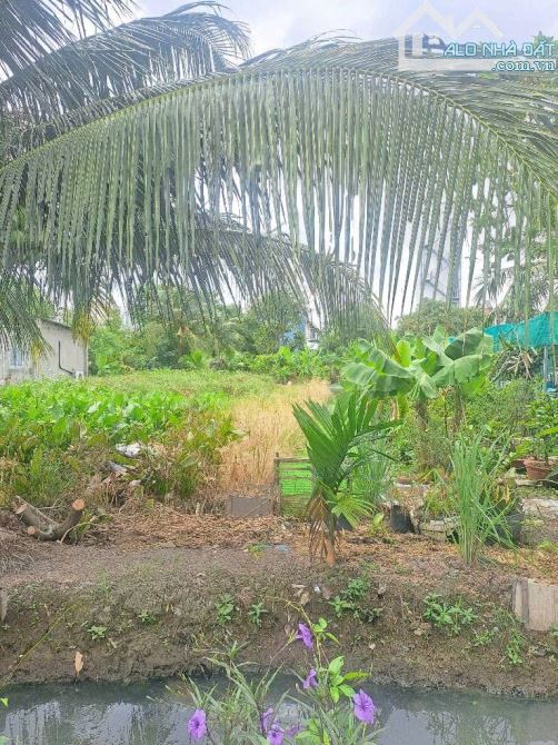 Đất Thổ Cư, đường Thạnh Xuân 33 phường THẠNH XUÂN Q12.dt 200m2 (7,5mx26m) đường 12m,7,5tỷ.