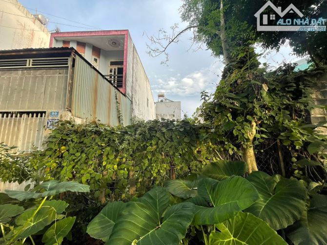 ĐẤT ĐẸP ĐƯỜNG PHẠM VĂN ĐỒNG CÁCH KĐG TÂN PHONG 900M -KHÔNG KHUYẾT ĐIỂM