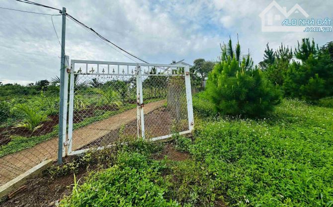 HÒA THẮNG - Bán đất siêu VIP có mặt tiền + view ruộng 12ty/3240m2 - 1