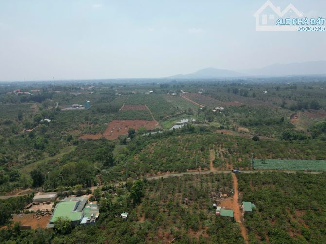 🎁 Kẹt tiền bán gấp 400m2 có thổ cư tại Ia Grai giá 289tr - 1