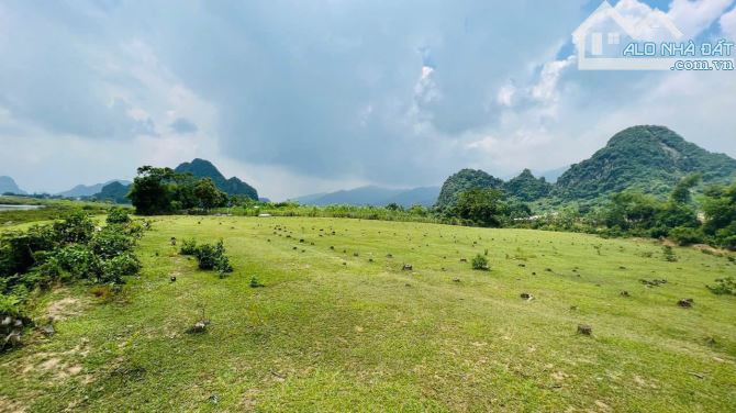 Bán lô đất phun cln dt 4226m ( cln ) xóm Bôi Cau, Kim Bôi, Hoà Bình ( Phú Thọ ) - 1