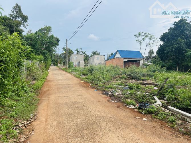 🅿️❇️Đất đường D2, Eatu, Buôn Ju, Đạt Lý, Phường Tân An, 1,2xx tỷ, 5mx20m❇️ - 1