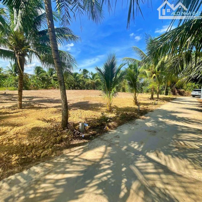 Bán lô đất full thổ cư Tân Định - Ninh Hòa view đồng lúa xanh mát - 1