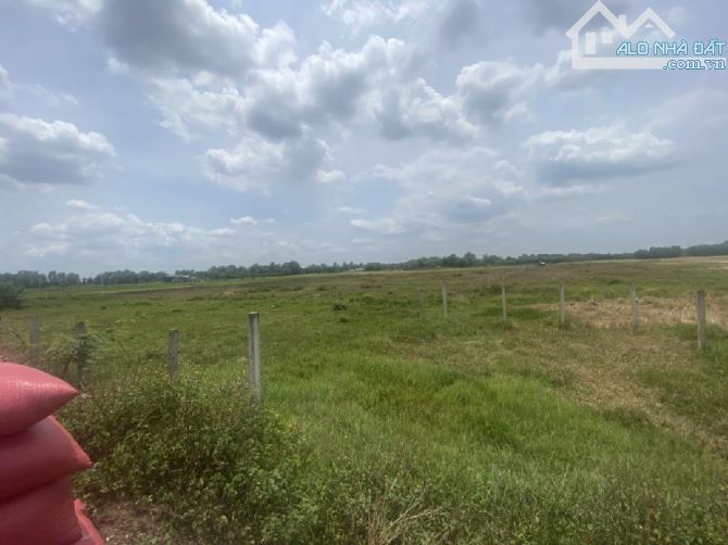 BÁN GẤP LÔ ĐẤT SIÊU RẺ 28.365 M2 - CÂY TRÔM MỸ KHÁNH - PHƯỚC HIỆP CỦ CHI - CHỈ 16 TỶ ... - 1