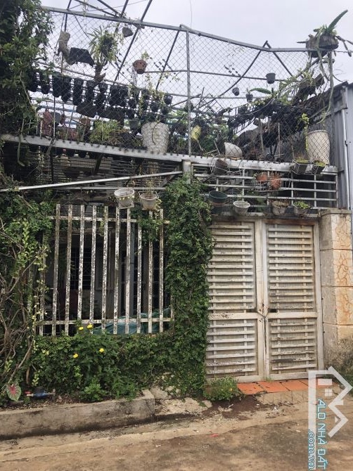 🌈🏠Nhà Cấp 4 hẻm NGUYỄN HỮU THẤU - BMT (5x17m👉2.5 tỷ) - 2