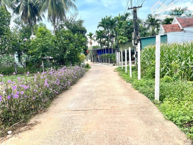 Bán lô đất 117m2 hướng tây, đường Ôtô 3,5m, xã Nghĩa Giang (xã Nghĩa Kỳ cũ), Quảng Ngãi - 2