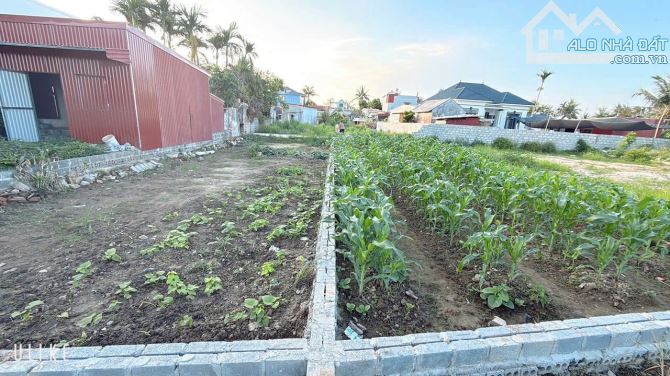 90m2 Cốc Liễn - Kiến Minh ( Minh Tân ) gần Ga Tàu LC-HN-HP - 2