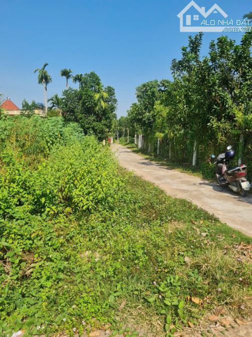 Bán đất Việt Lập - Tân Yên, Bắc Giang. 170m2, MT 7m. Đường ô tô chạy vi vu. Giá 950tr - 3