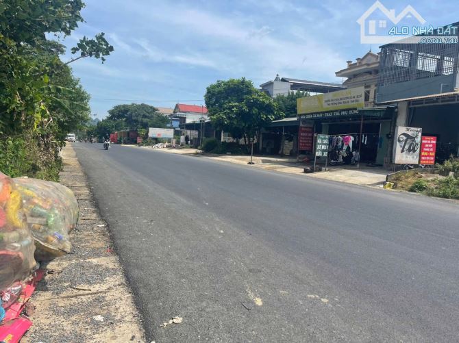 Bán lô đất 530m mặt đường 12b ngã 3 ve siêu rẻ - 3