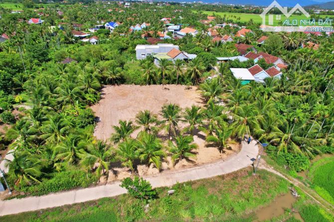 Bán lô đất full thổ cư Tân Định - Ninh Hòa view đồng lúa xanh mát - 3