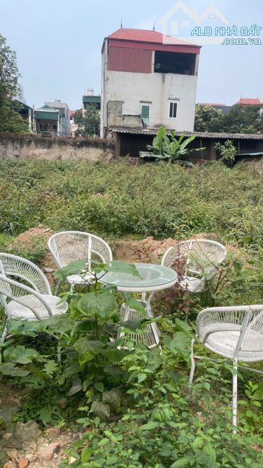 Lô đất 299m² – Mặt tiền 14m – Trục chính Du Nội, Đông Anh – Giá hơn 30 tỷ - 3