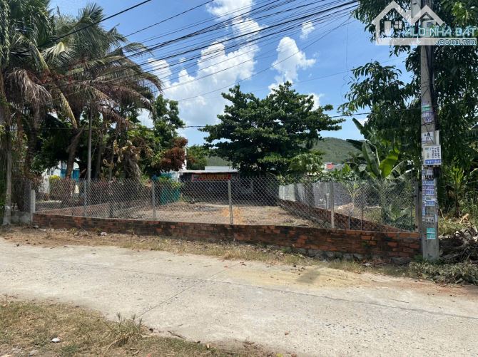 đất mặt tiền la văn cầu P.nam nha trang. hướng đông nam - 3