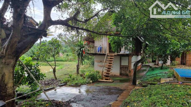 HÒA THẮNG - Bán đất siêu VIP có mặt tiền + view ruộng 12ty/3240m2 - 4
