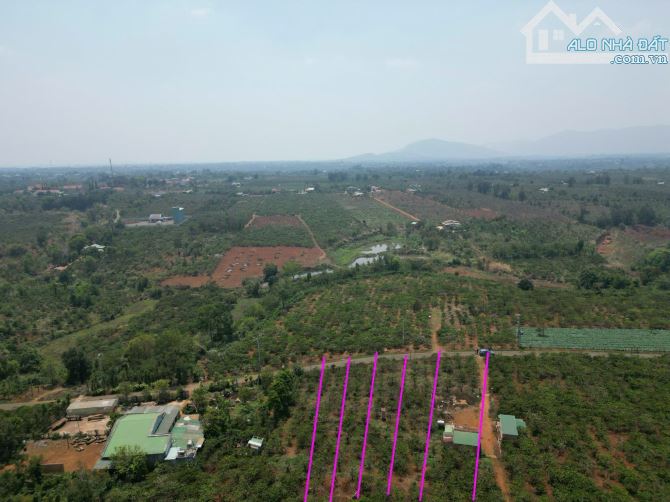 🎁 Kẹt tiền bán gấp 400m2 có thổ cư tại Ia Grai giá 289tr - 4