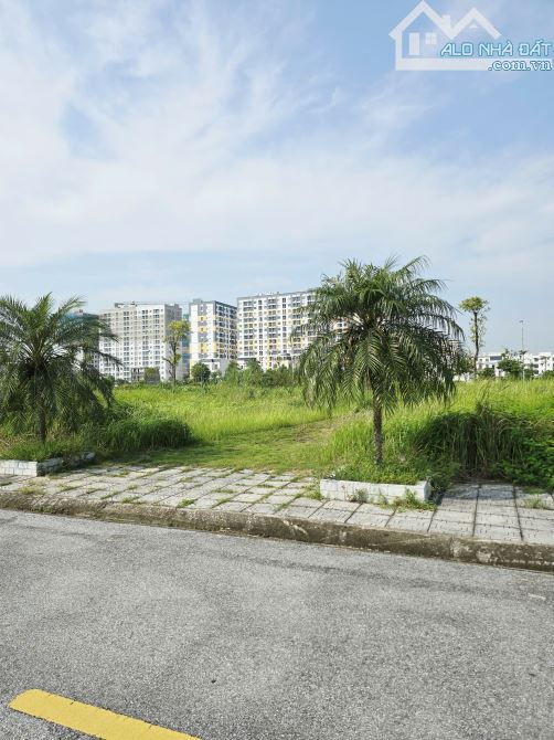 🌿 BÁN LÔ ĐẤT GÓC BIỆT THỰ 180M² – KHU ĐÔ THỊ ECO HOME TRÀNG DUỆ, AN DƯƠNG – HẢI PHÒNG 🌿 - 4