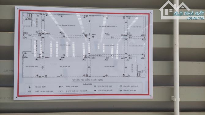 For Lease: International-Standard Factory/Warehouse In Thang Long 2 Industrial Park, Hung - 4