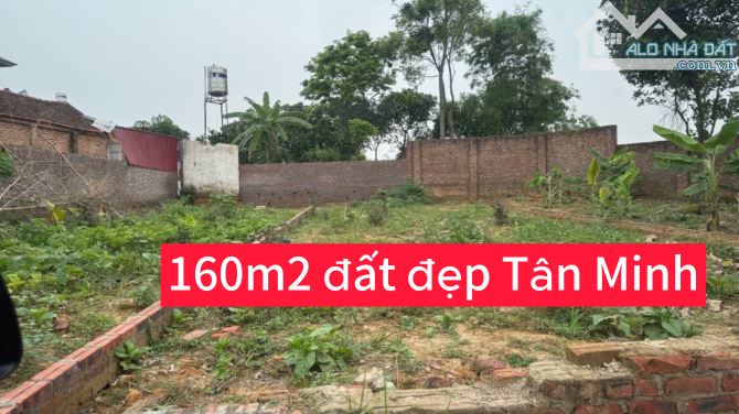 Rẻ nhất Tân Minh-DT 160m2-bìa làng-đường thông-ô tô đỗ cửa. - 4