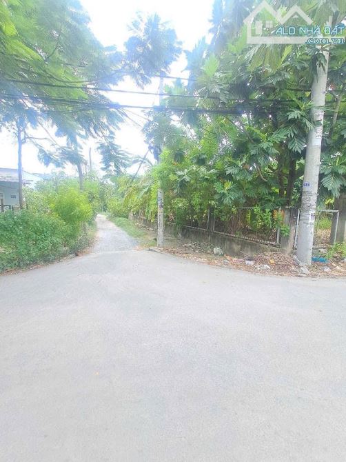 Đất Thổ Cư, đường Thạnh Xuân 33 phường THẠNH XUÂN Q12.dt 200m2 (7,5mx26m) đường 12m,7,5tỷ. - 4