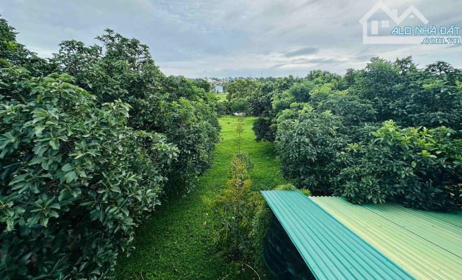 HÒA THẮNG - Bán đất siêu VIP có mặt tiền + view ruộng 12ty/3240m2 - 5