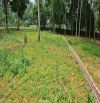 Giá rẻ nhất khu vực chỉ 3.4 tỷ tại Lương Sơn - Hoà Bình - Diện tích: 864m2 - 200m2 ONT
