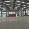 For Lease: International-Standard Factory/Warehouse In Thang Long 2 Industrial Park, Hung
