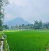 Đất Minh Quang, xã Ba Vì, Hà Nội, 380m, nở hậu, mặt đg nhựa to, gần K9, view núi, 2.15tỷ