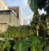 ĐẤT ĐẸP ĐƯỜNG PHẠM VĂN ĐỒNG CÁCH KĐG TÂN PHONG 900M -KHÔNG KHUYẾT ĐIỂM