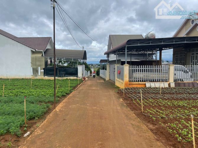 Đất Nền Định Cư Giá Tốt Trung Tâm Thị Trấn Liên Nghĩa - 5x28 - Full Thổ Cư - Đường 5m