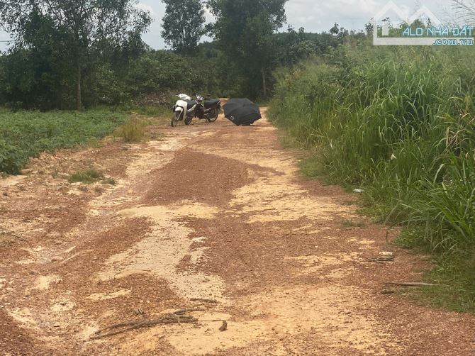 bán 6,5 xào đất có 54m mặt tiền xe hơi đi vô tư chỉ với giá 1,6 tỷ