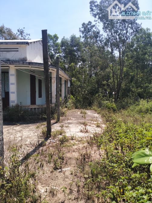 460m,200m đất ở - đường 12m-quy hạch 27m,cách biển tam thanh 200m