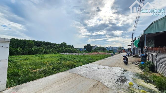 Bán đất 5x33m, hẻm Trịnh Hoài Đức p. Khánh Bình gần chợ Quang Vinh