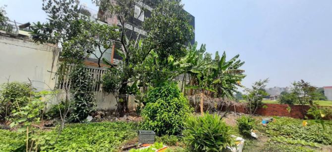 THỚI TAM THÔN. HÓC MÔN. ĐẤT FULL THỔ CƯ. ĐƯỜNG NHỰA 10m. THÍCH HỢP XÂY DỰNG BIỆT THỰ. CHDV