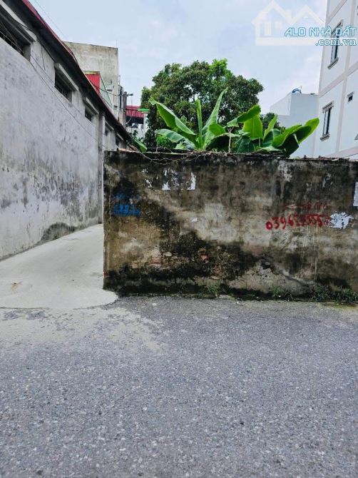 Bán gấp đất Liên Ninh ô tô tránh ,lô góc ,kinh doanh đỉnh giá 17.2 tỷ