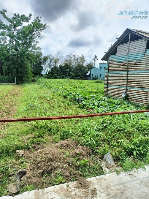Chính chủ cần bán lô đất 88m2. Đại Cường đại lộc quảng nam.đà nẵng
