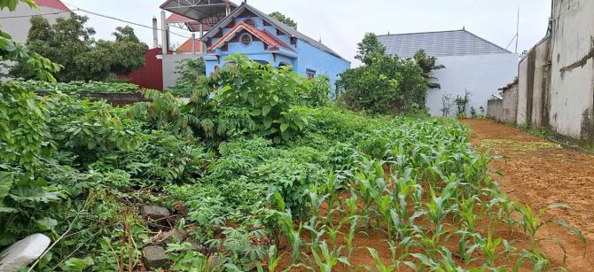Bán đất mặt đường tại Đông Yên, Quốc Oai, Hà Nội ( Gần thị Trấn Xuân Mai) giá 3,6 tỷ